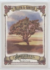 2021 Topps Allen & Ginter's Arboreal Appreciation Arbutus #AA-9 0qj