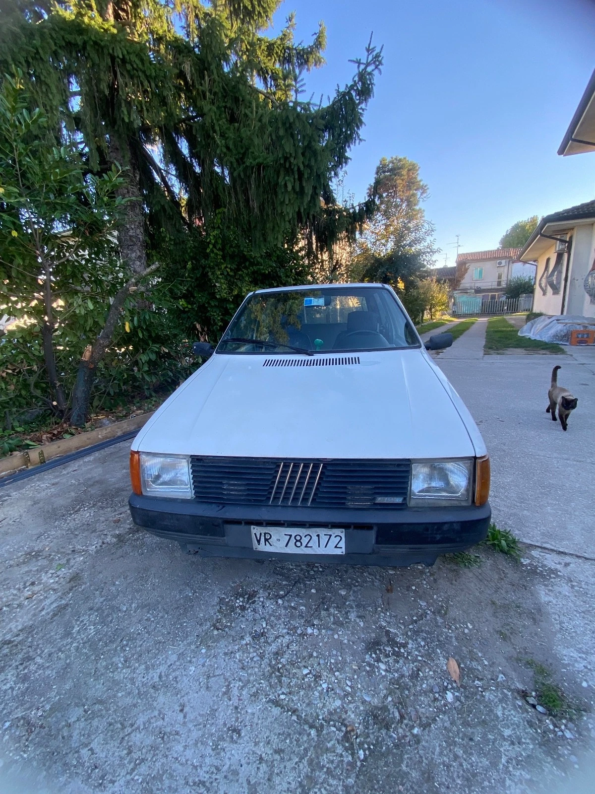 auto usato privato