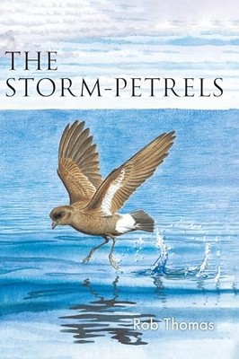 The Storm-petrels