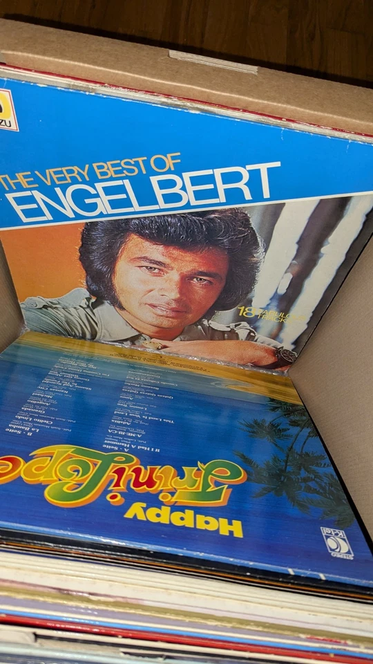 100 X 12" Vinyl Paket Deutsch Schallplatten Gemischt Klassiker Sammlung Schlager - Bild 4 von 4