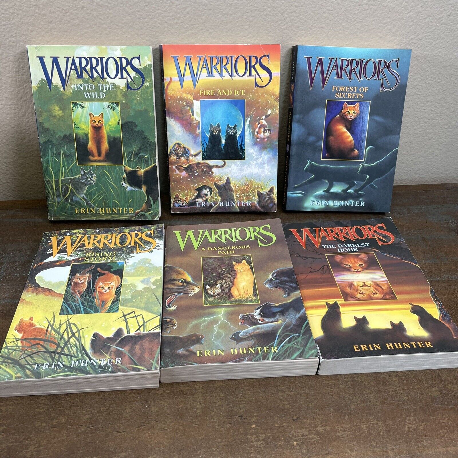 Erin Hunter's Warriors Series (#1-6) : Into the Wild - Fire and Ice -  Forest of Secrets - Rising Storm - A Dangerous Path - The Darkest Hour  (Children Book Sets 