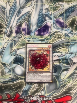 BLACK ROSE DRAGON SECRET RARE L5DD-ENS02 NEAR MINT YUGIOH