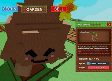 Huge Mega Seedling!  - Grow A Garden - Pets - Fast & Easy!