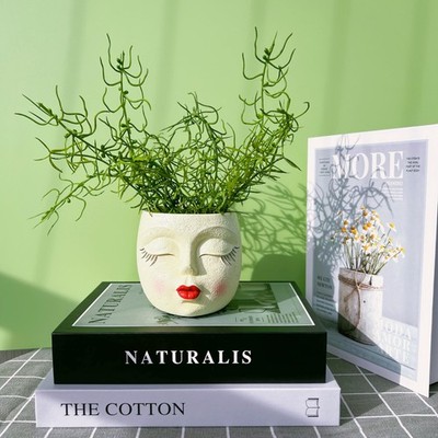 Girl Face Flower Pot Small Lady Head Planter Funny Flower Pot for Cactus Lovely