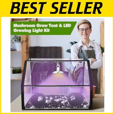 Easy-to-Use Mushroom Growing Setup with LED Lighting