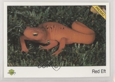 1991 Acorn Biosphere Promo Set Blue Back Red Eft #90 0kb5