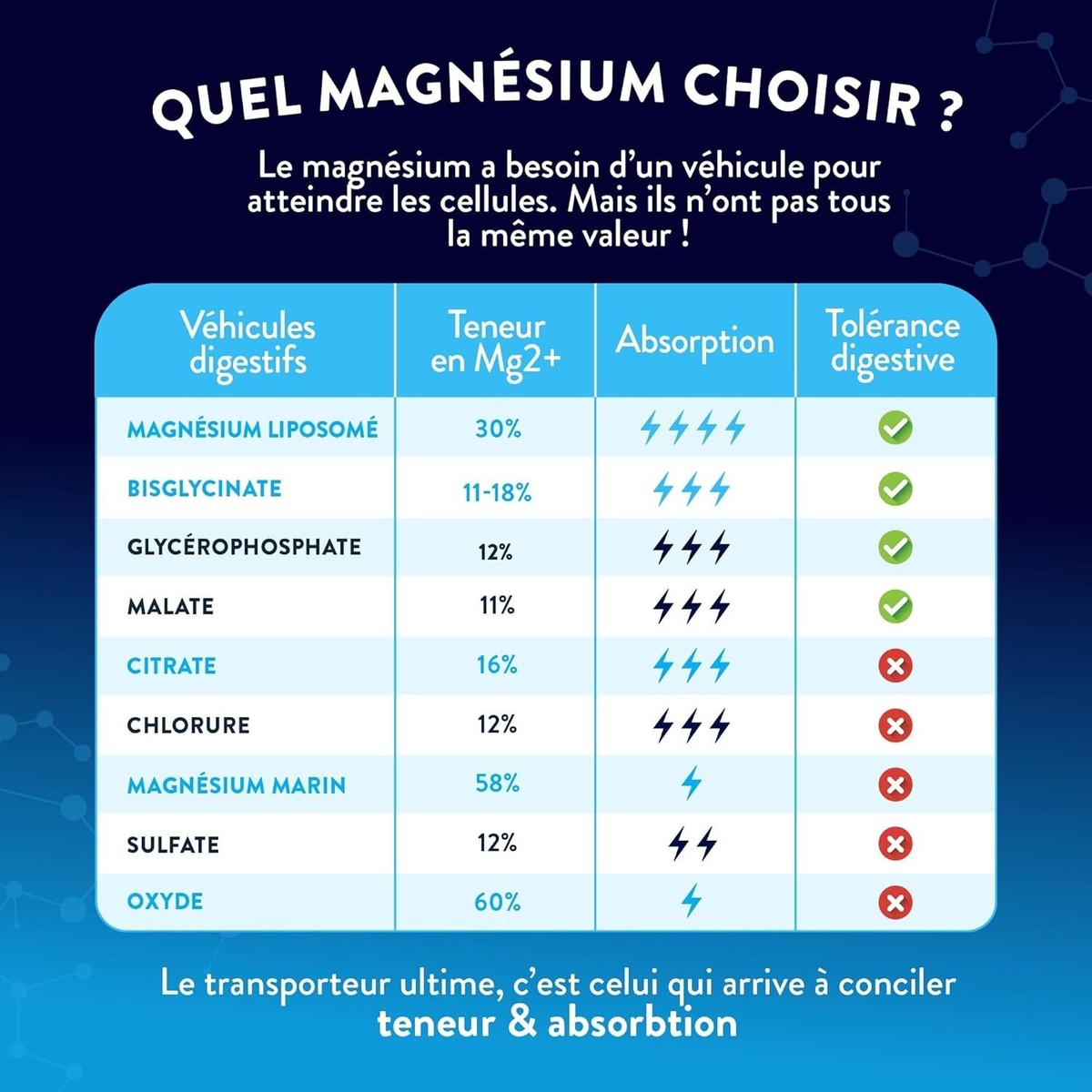 Complément Alimentaire Magnésium Bisglycinate Malate + Vitamine B6 Nutri&Co - Haute Teneur Neuf