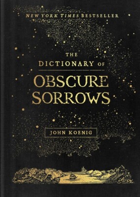 The Dictionary Of Obscure Sorrows