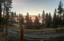 406sfox