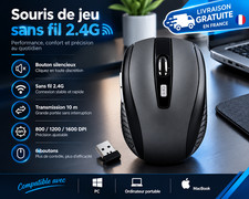 Souris Sans Fil Gamer Ergonomique 2.4G - 1600 DPI 6 Boutons PC Mac Optique