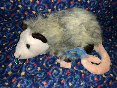 possum webkinz