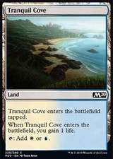 MTG Magic the Gathering Tranquil Cove (259/357) Core Set 2020 LP