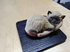 aynsley mastercraft kitten in a slipper