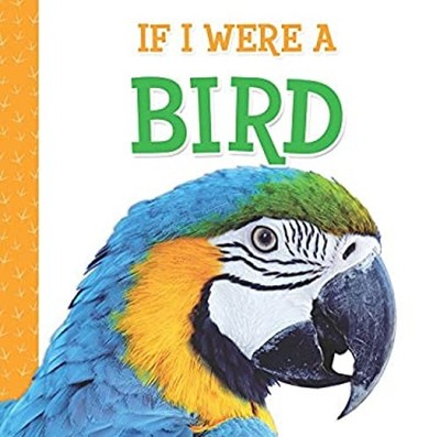 If I Were A Bird Hardcover Laura Gates Galvin