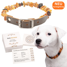 Bernsteinkette Hund Katze Natur Bernstein roh mit Lederband verstellbar +5 cm