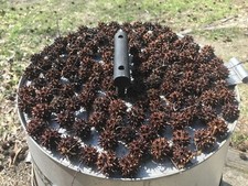 Abt 120 Sweet Gum Tree Liquidambar Spiked Ball Pods, Double Rinsed Sun Dried