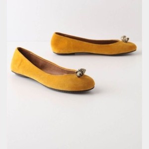 yellow mustard flats