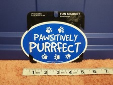 Oval Shaped Fun Magnet Pawsitively Purrfect Cat Magnet For Fridge, Cars, Truck