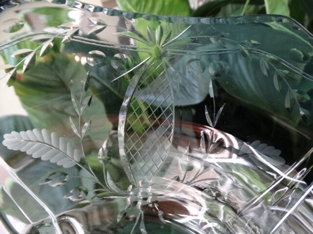 Picture 6 of 19