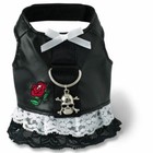 Imagen 4 de 5