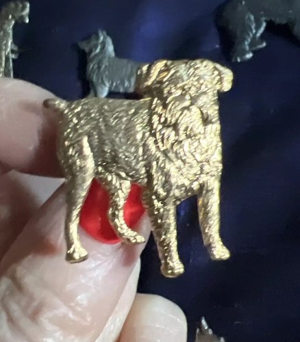 Vintage 60s Last 1 ENGLISH  Griffon Brussels Bruxellois Ewok Dog brooch Golden