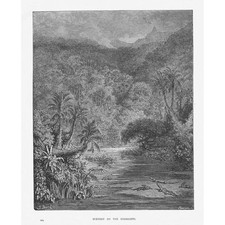 GUSTAVE DORE Scenery On The Mississippi (Atala) - Antique Print c1880