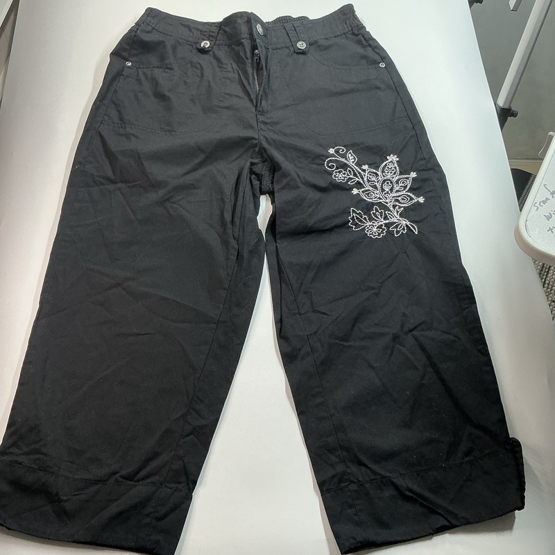 Chico Capri Pants