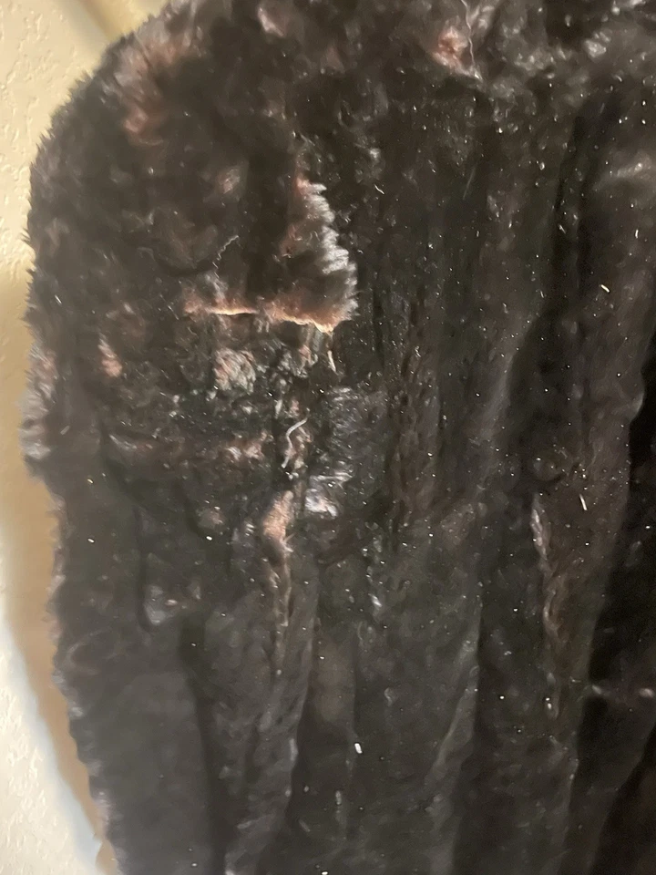 20 世纪 30 年代 - 40 年代黑色貂皮大衣 40 英寸非常罕见 Gano Downs Denver 需要维修 — 第 4/4 张图片