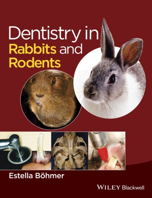 Dentistry in Rabbits and Rodents by Estella  Bohmer (Hardback Book)