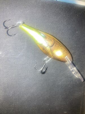 Rapala Shad Rap Rare Color