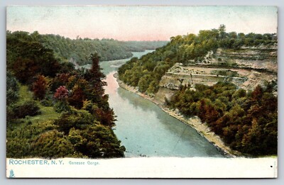 Genesee Gorge Rochester New York NY Vintage Postcard