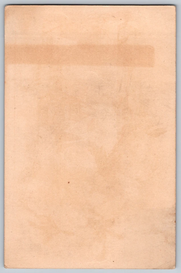 New Home Sewing Machine Co. - Flowers and a winter scene (5.5x3.5 inches) - Image 2 of 2