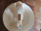 Rare Vintage Czechoslovakian Squirrel Nut Bowl w/cracker, pick 8" x 6" ceramic — photo 4