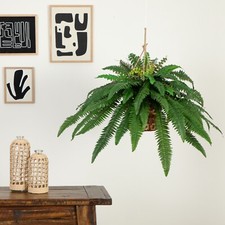 32  Artificial Large Boston Fern Plant In Hanging Basket Home Decor. Retail 99