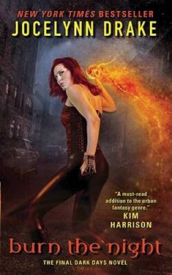 Burn the Night: The Final Dark Days Novel (Dark Days Series) - GOOD
