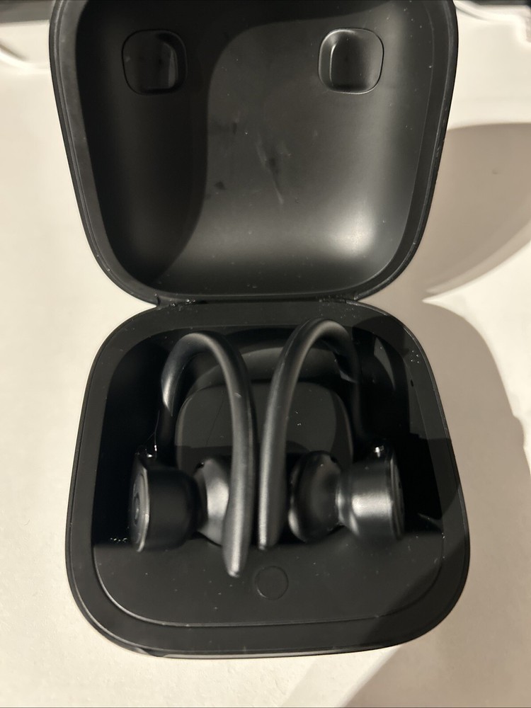 Beats by Dr. Dre Powerbeats Pro In Ear Wireless Headphones - Black