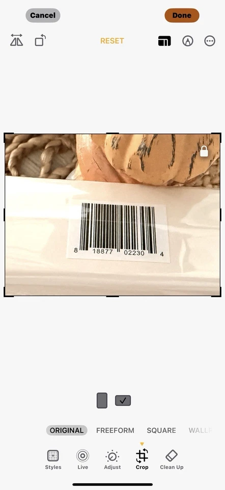 New Luxie Beauty Glimmer 5pc Brush Set Handcrafted Premium Synthetic Brushes - Image 4 of 4