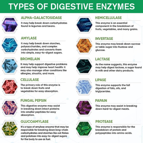 Digestive Enzymes 240 Capsules Probiotics Blend , Constipation & Bloating Relief - Picture 5 of 13