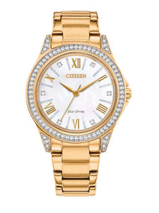 dw5600 sc