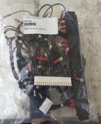 GENERAC 0E0331 HARN CTRL PNL PP GUARDIAN 