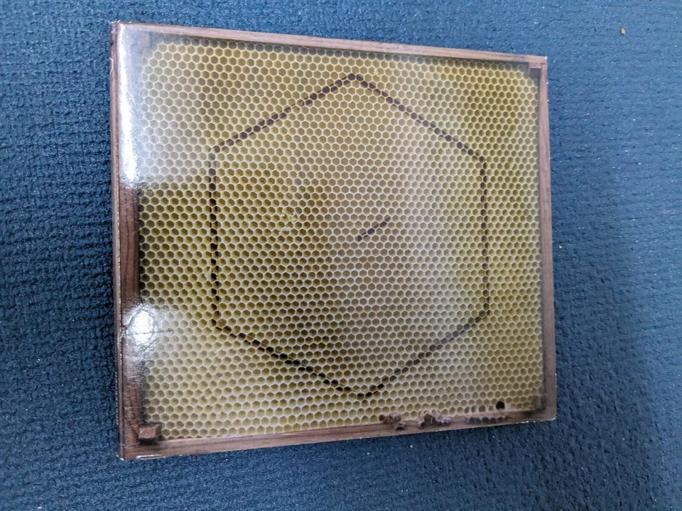 Rangleklods Beekeeper CD, Digipak Radiohead Kraftwerk