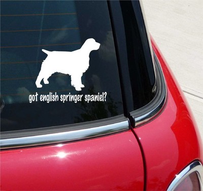 GOT ENGLISH SPRINGER SPANIEL? GRAPHIC DECAL STICKER ART CAR WALL DECOR