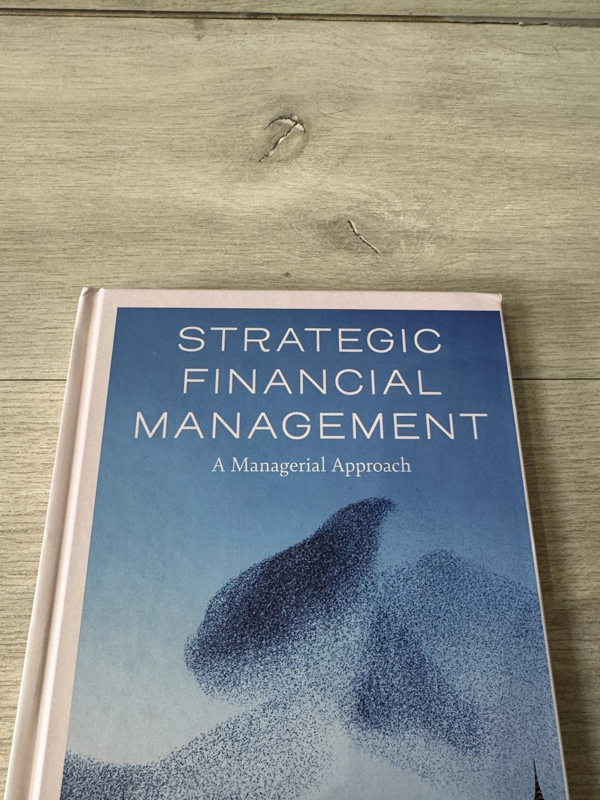 Strategic Financial Management by Muhammad Ali, Choi-Meng Leo 9781836081074 2