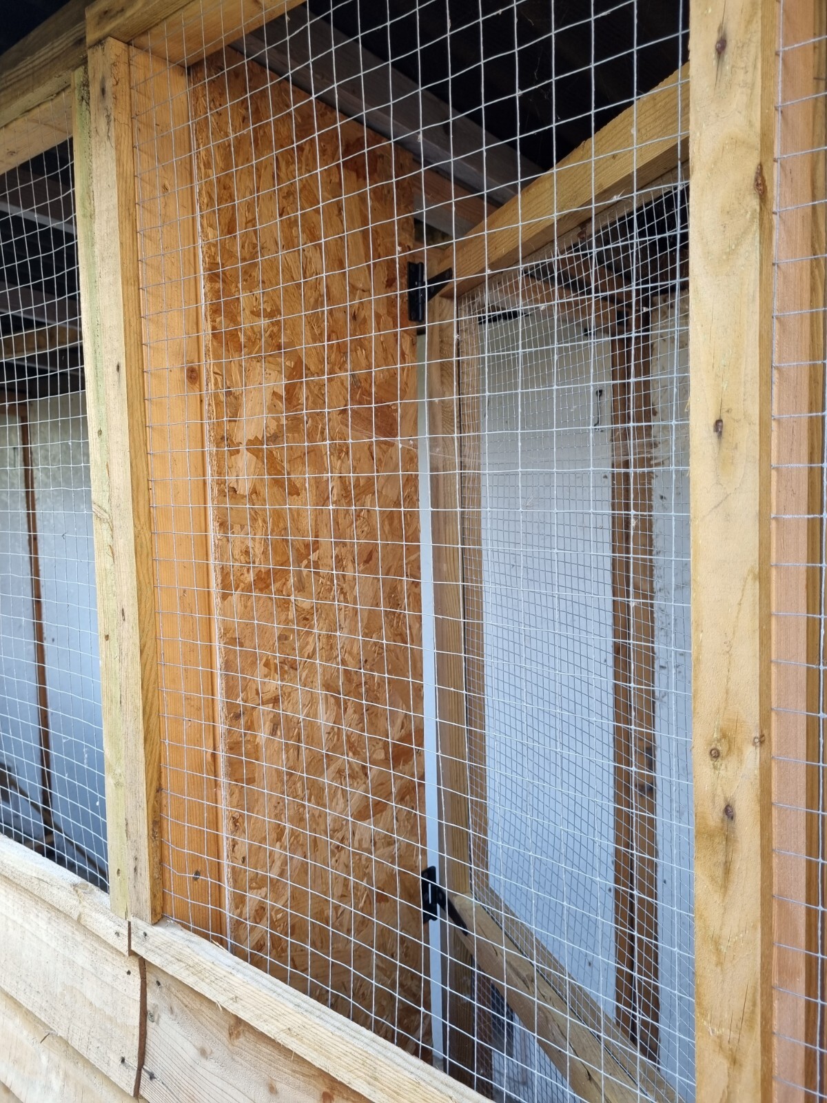 cattery cat housing, Animal Shed eBay