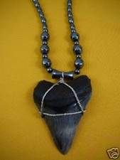 (s270-m) 2-7/8" Fossil MEGALODON collector Tooth Teeth Hematite bead Necklace