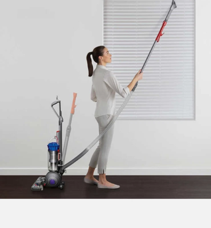 Dyson Ball Animal 2 Origin vertical  Foto 3 de 4