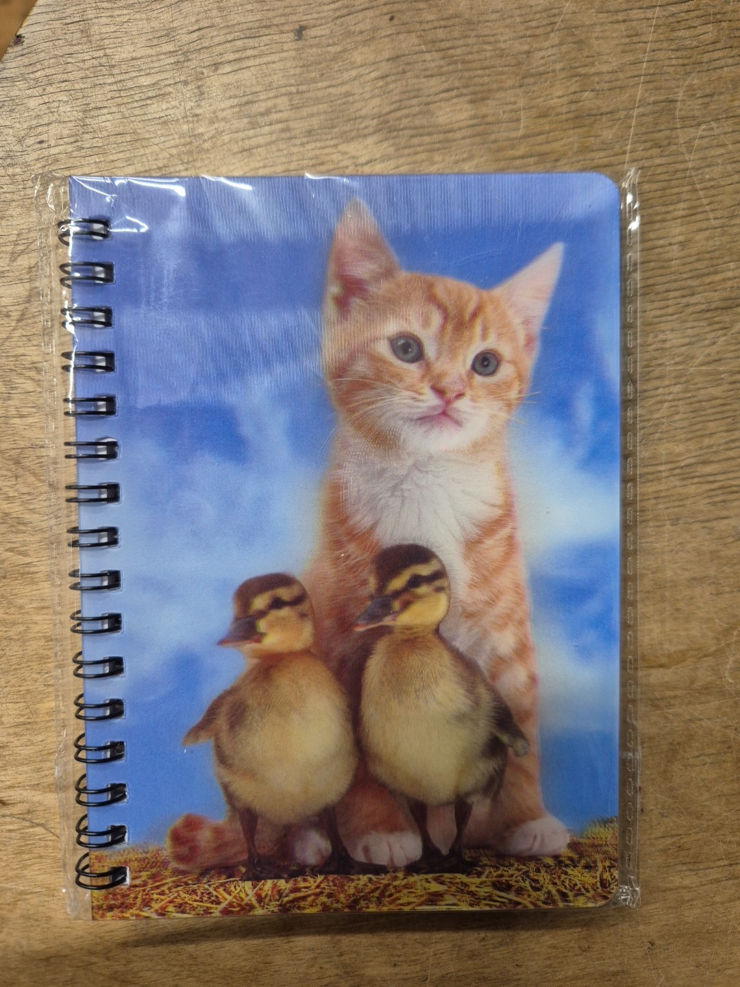 Ginger kitten notebook ginger cat kittens ducklings Notebooks lined A6 Notepad