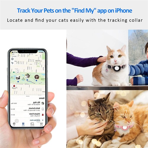 apple tag for pets