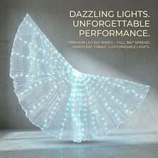 LED Butterfly Wings Light Up Dance Costume Festival Performance Accessory