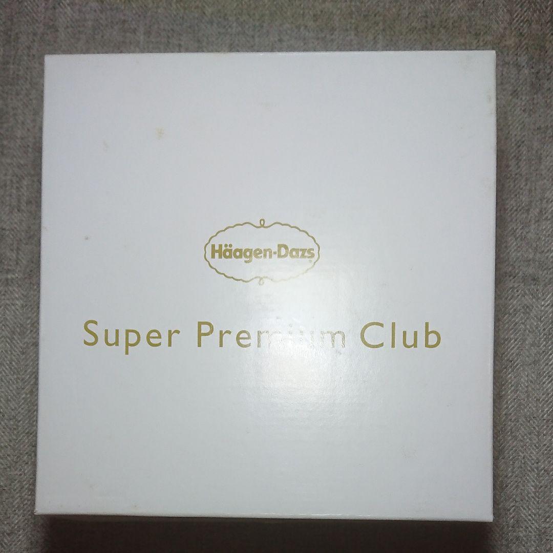 Haagen-Dazs Novelty Porcelain Cup & Gold Spoon Set Super Premium